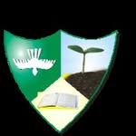 TLS Logo